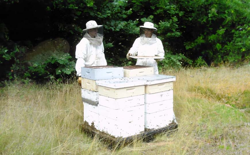 beekeeper