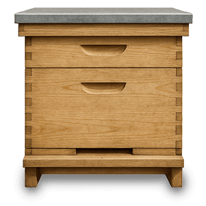 Hive